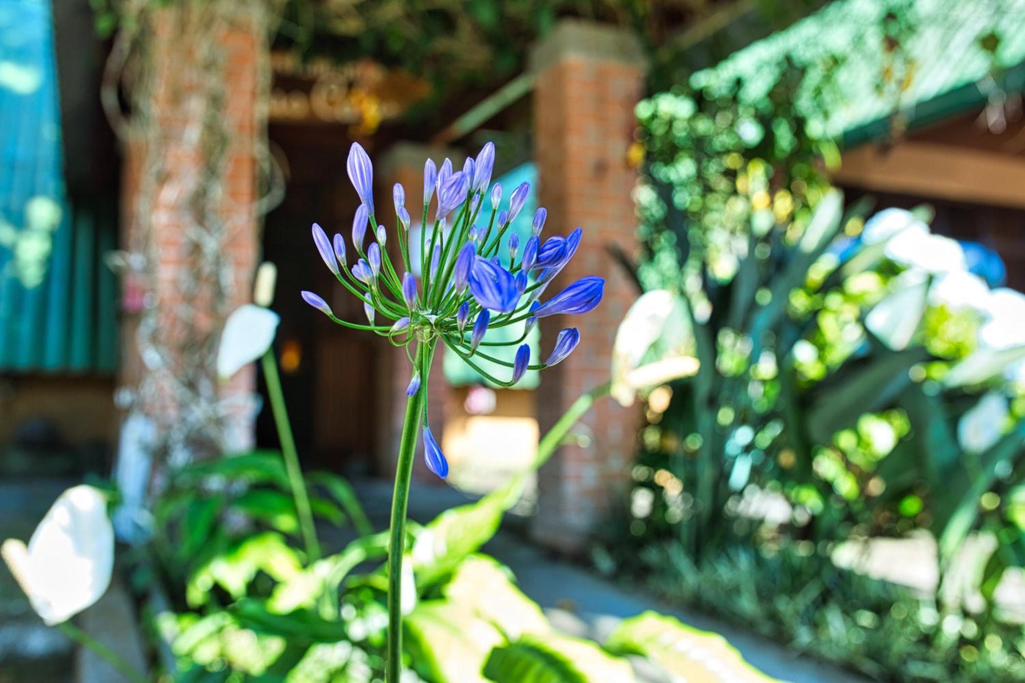 Hotel Villa Zurqui San Isidro  Εξωτερικό φωτογραφία
